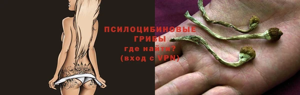 a pvp Армянск