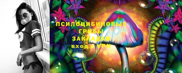 spice Аркадак