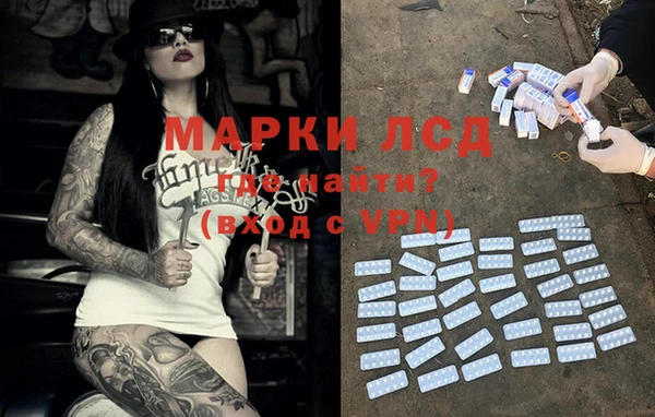spice Аркадак