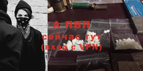 spice Аркадак