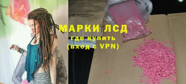 spice Аркадак