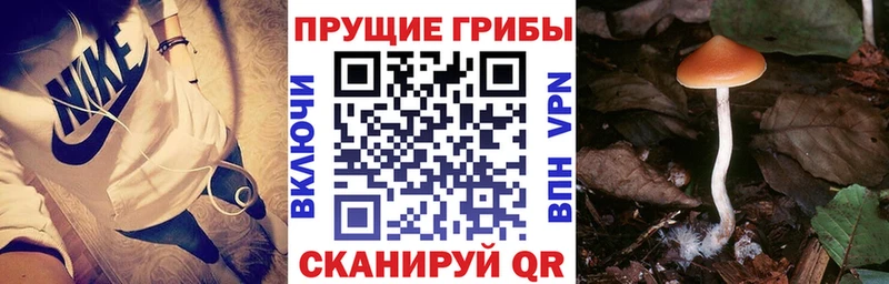 Псилоцибиновые грибы мухоморы  закладка  Микунь 